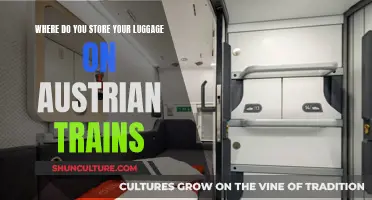Storing Luggage on Austrian Trains: Overhead, Under-Seat, or Elsewhere?