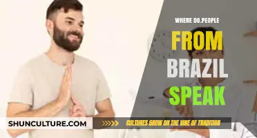 Where Do People from Brazil Speak: Language Diversity Explained