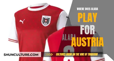 Alaba's International Team: Austria's Star Defender