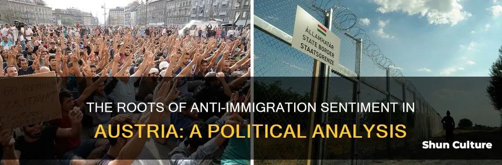 where does anti immigraiton domestic support come from in austria