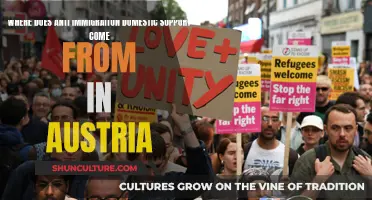 Austria's Anti-Immigration Support: Understanding the Roots
