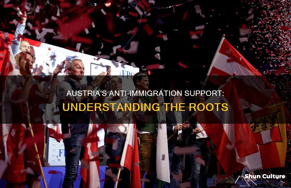 where does anti immigraiton domestic support come from in austria