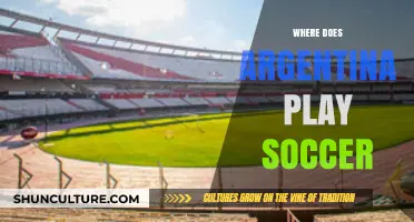 Exploring Argentina's Soccer Stadiums: A Guide to the Nation's Top Venues