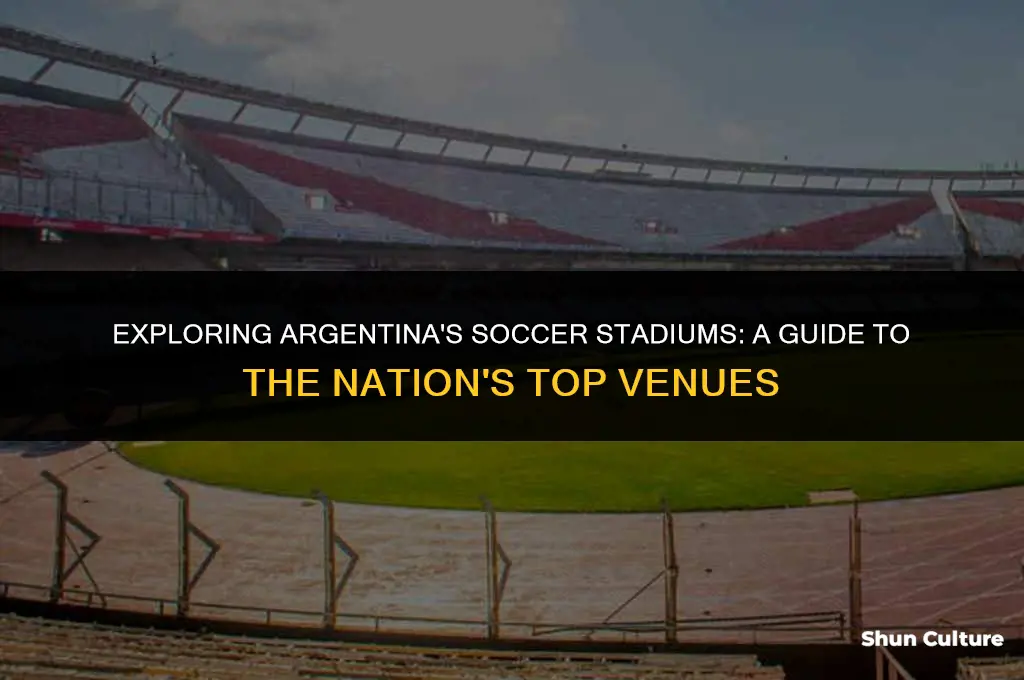 where does argentina play soccer