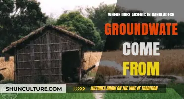 Unveiling Bangladesh's Groundwater Crisis: The Origins of Arsenic Contamination
