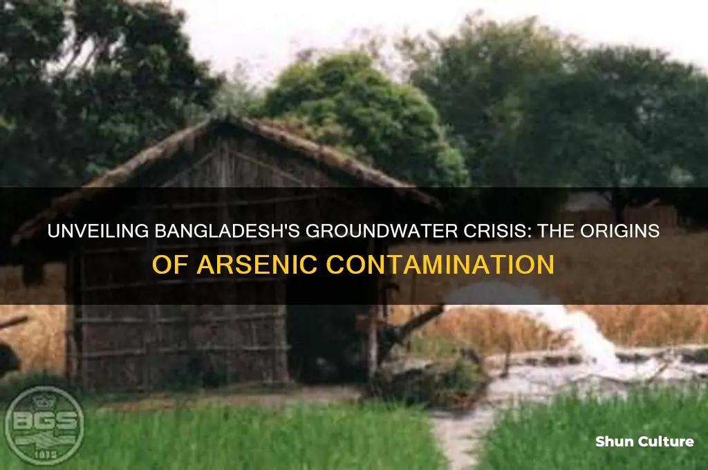 where does arsenic in bangladesh groundwater come from