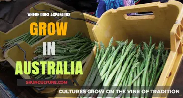 Asparagus Growing Regions in Australia