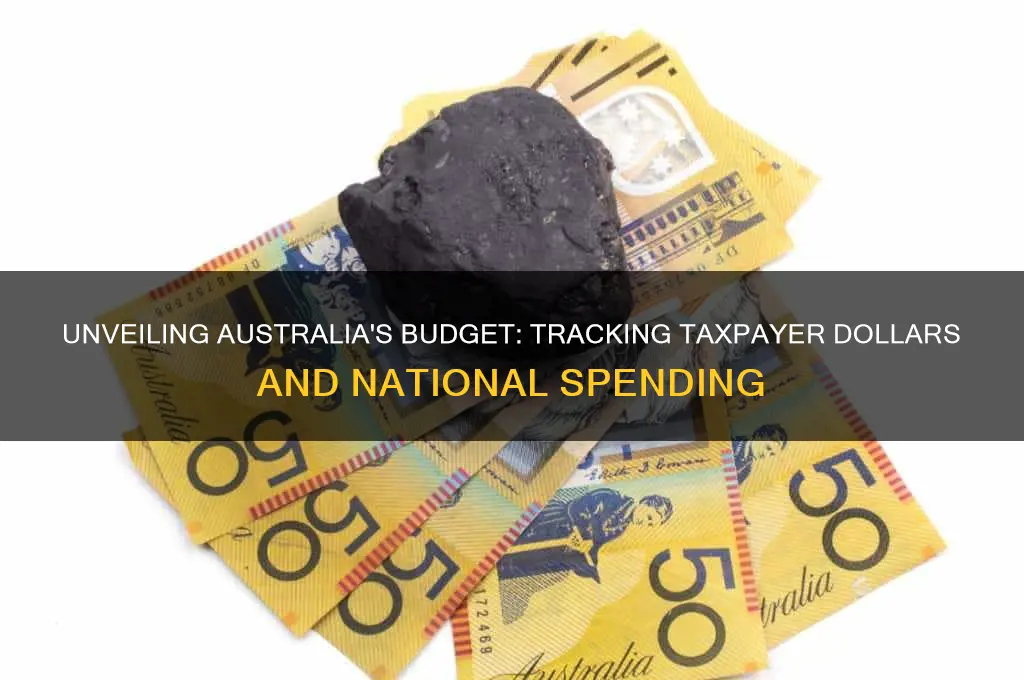 where does australian taxpayers money go