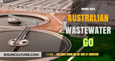 Where Does Australian Wastewater Go? A Journey Through Treatment and Disposal