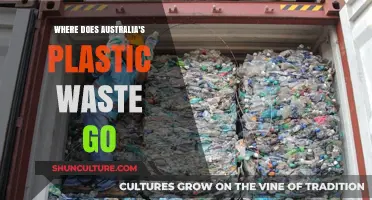 Australia's Plastic Waste Journey: Uncovering Its Global Destination and Impact
