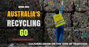Unveiling Australia's Recycling Journey: Where Does It Really Go?