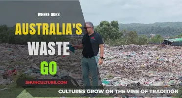 Australia's Waste Journey: Tracking Disposal, Recycling, and Environmental Impact