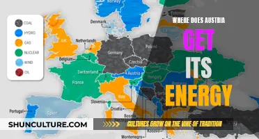 Austria's Energy Sources: Powering the Alpine Nation