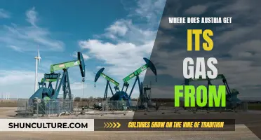 Austria's Gas Sources: Exploring the Country's Energy Suppliers