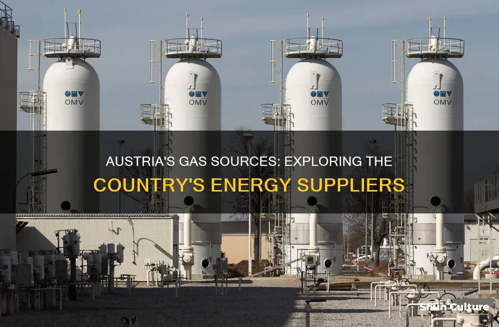 where does austria get its gas from