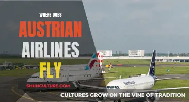 Explore Austrian Airlines' Global Network: Where They Fly