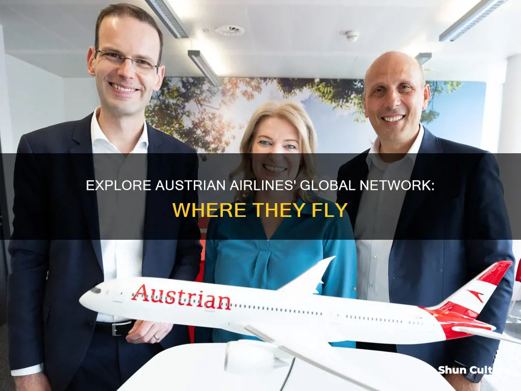 where does austrian airlines fly