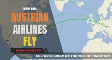 Austrian Airlines: Global Destinations and Beyond