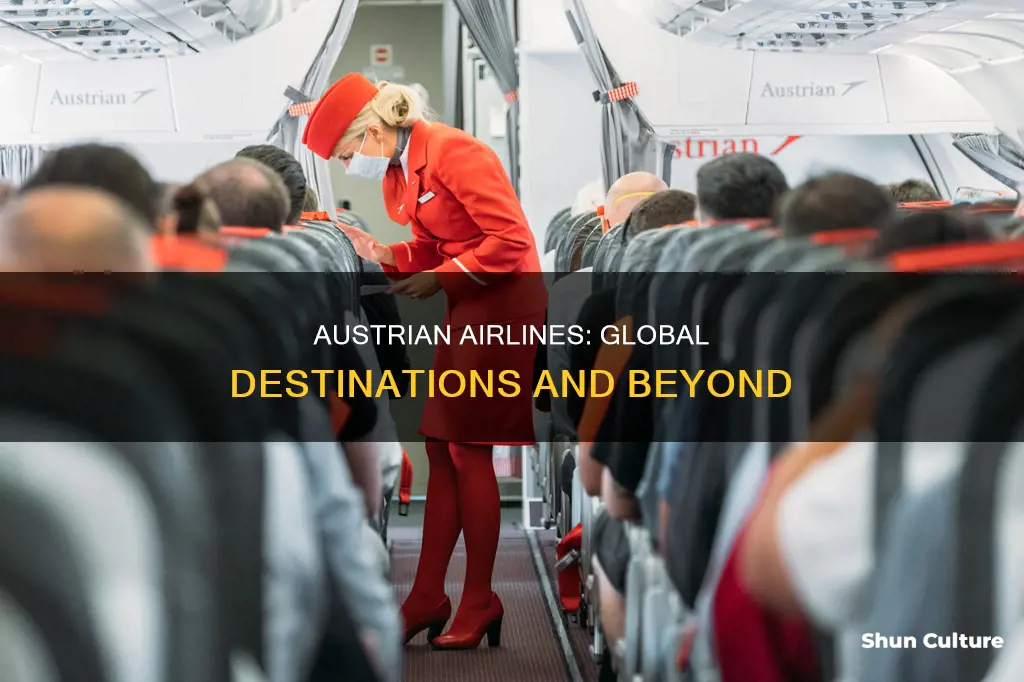 where does austrian airlines fly