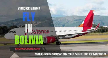 Aviaca's Bolivian Destinations: Exploring the Country's Reach