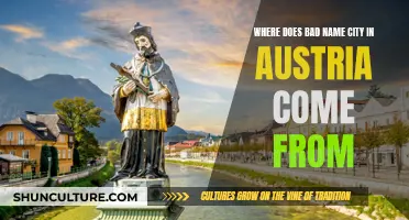 The Infamous Austrian City: Bad's Origin Story