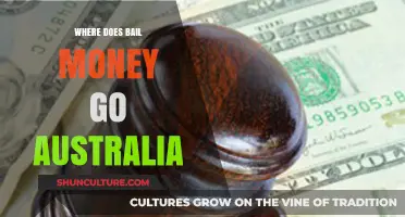Understanding Australia's Bail System: Where Does Your Bail Money Go?
