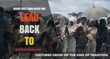 Tracing Bangladesh's Genetic Roots: Unraveling Ancient Ancestry Connections