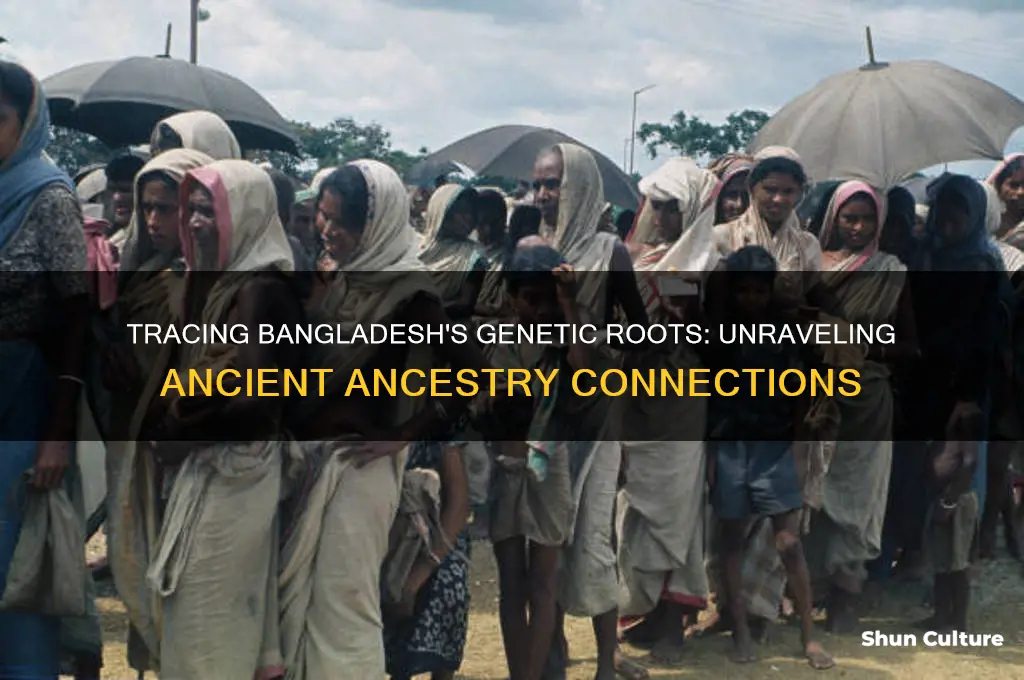 where does bangladesh dna lead back to