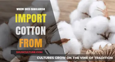 Bangladesh's Cotton Imports: Key Sources and Global Trade Partners