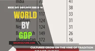 Bangladesh's Global GDP Ranking: Economic Standing and Growth Insights