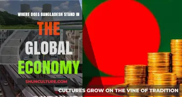Bangladesh's Economic Position: Global Standing and Future Prospects