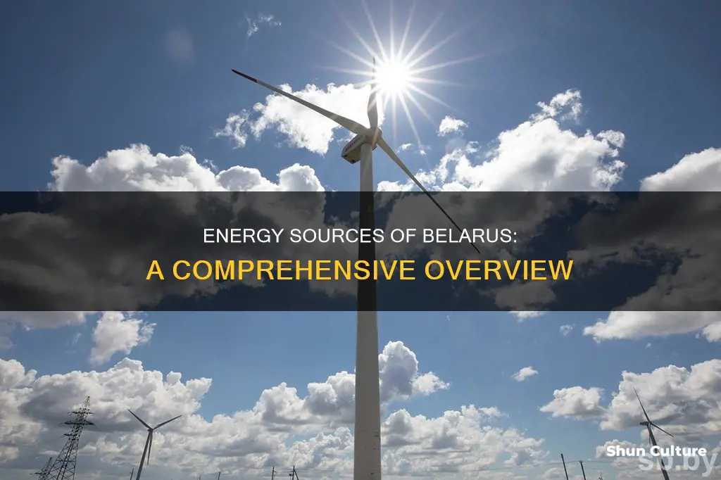 where does belarus get its energy