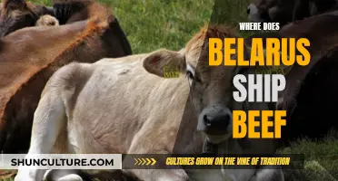 Belarus Beef Exports: Where Does It Go?