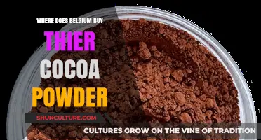 Decoding Belgium's Cocoa Powder Imports: A Global Trade Journey