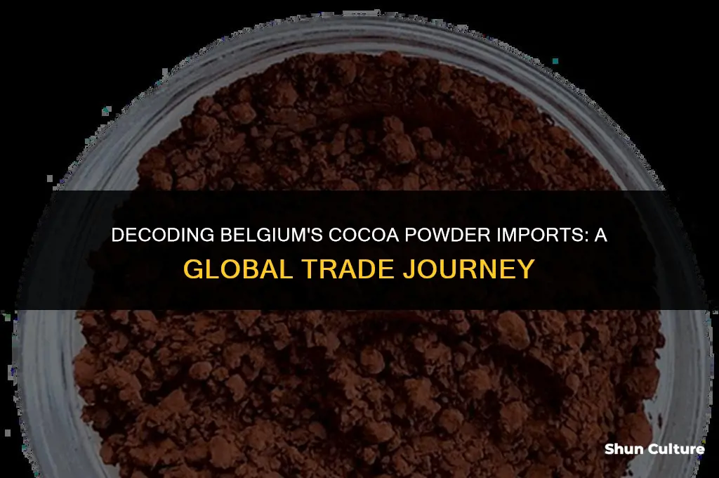 where does belgium buy thier cocoa powder