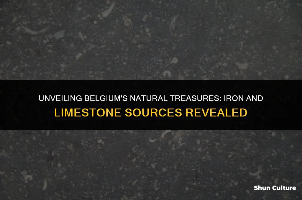 where does belgium find iron and limestone