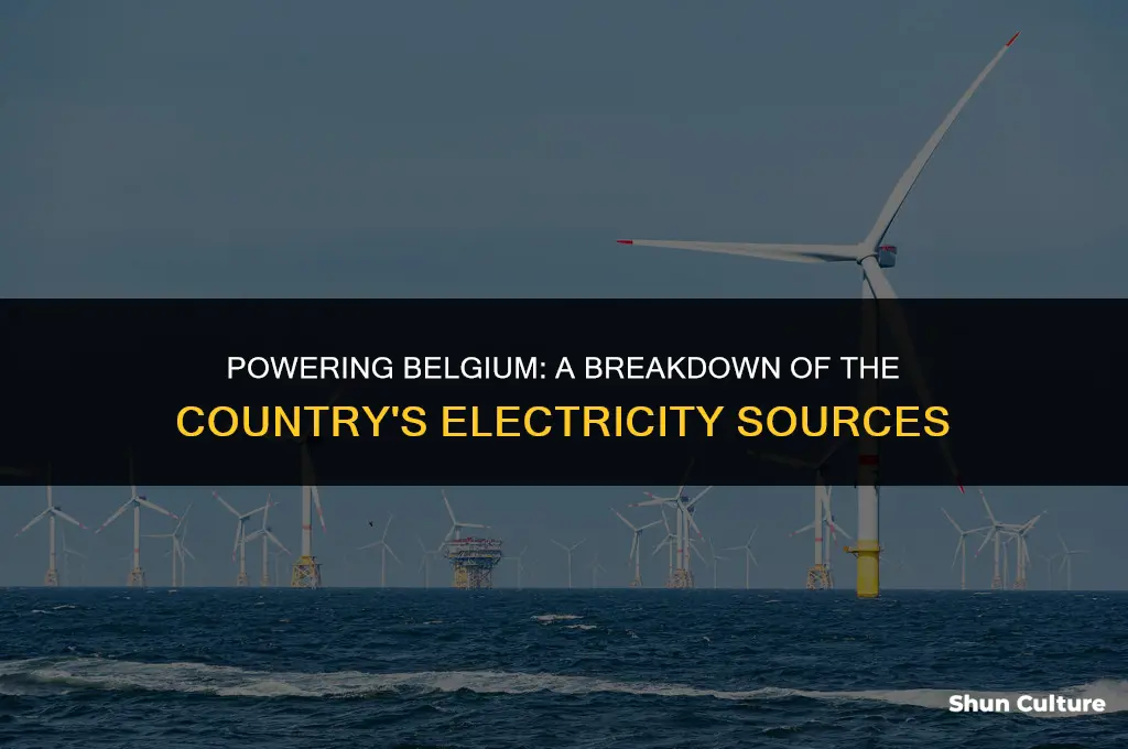 where does belgium get electricity from