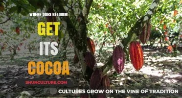 Decoding Belgium's Cocoa Sources: A Journey Through Chocolate's Homeland
