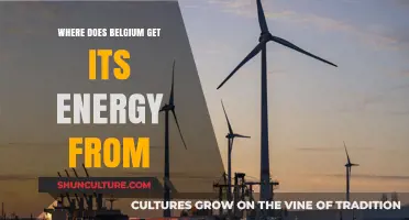 Powering Belgium: A Breakdown of the Country's Energy Sources