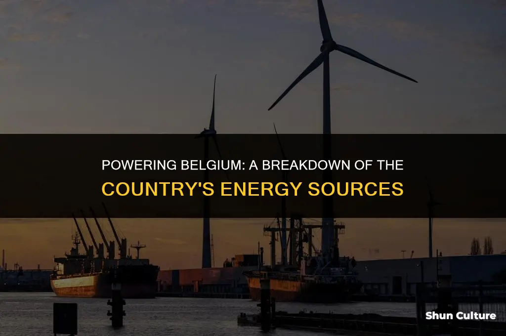where does belgium get its energy from