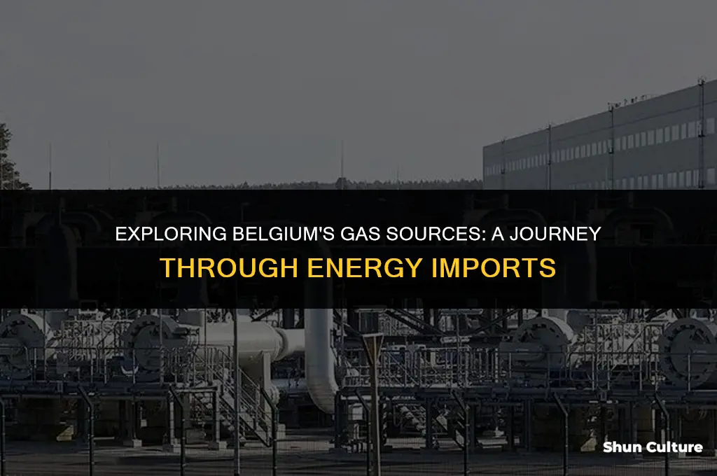where does belgium get its gas from