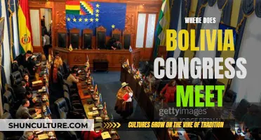 Bolivia's Legislative Power: Where Congress Meets