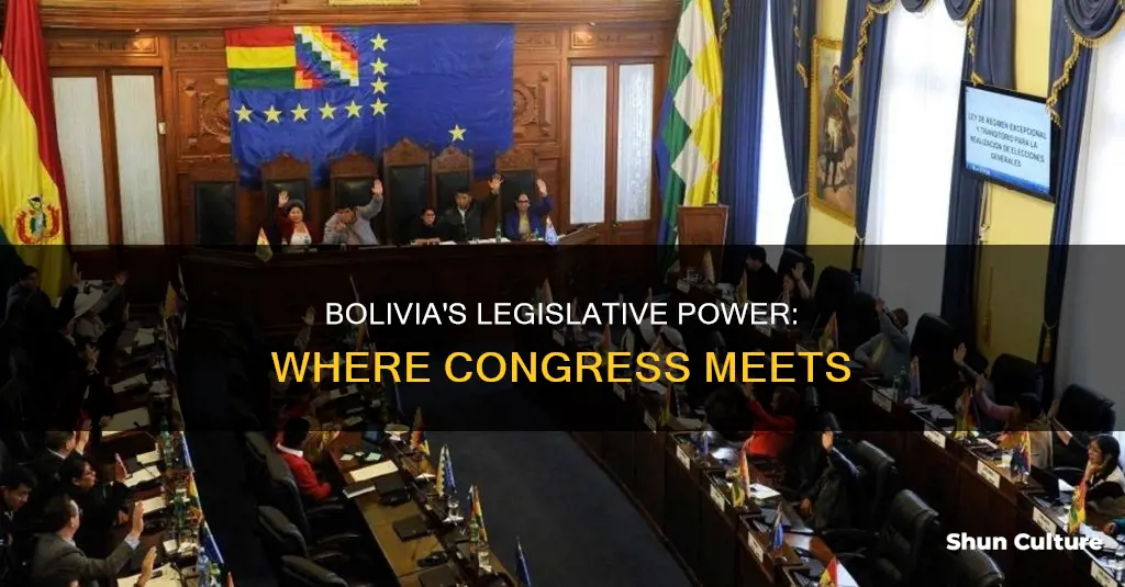 where does bolivia congress meet