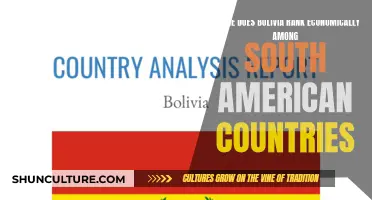 Bolivia's Economic Standing in South America Explored