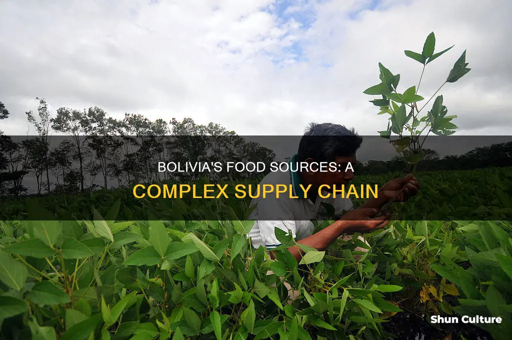 where does bolivias food supply come from