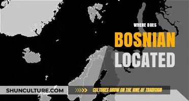 Discovering Bosnia: Unveiling the Geographic Location of this Balkan Gem