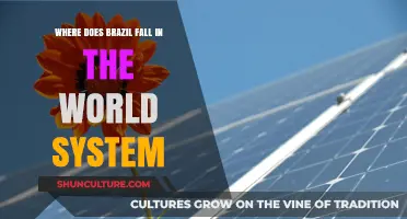 Brazil's Global Position: Power, Influence, and Role in the World System