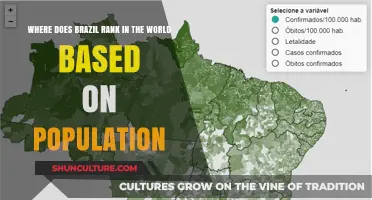 Brazil's Global Population Rank: Where Does It Stand Today?