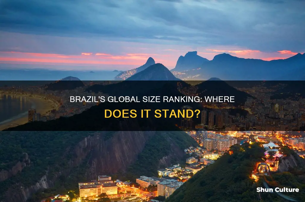 where does brazil rank in the world based on size