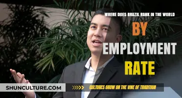 Brazil's Employment Rate: Global Ranking and Economic Insights